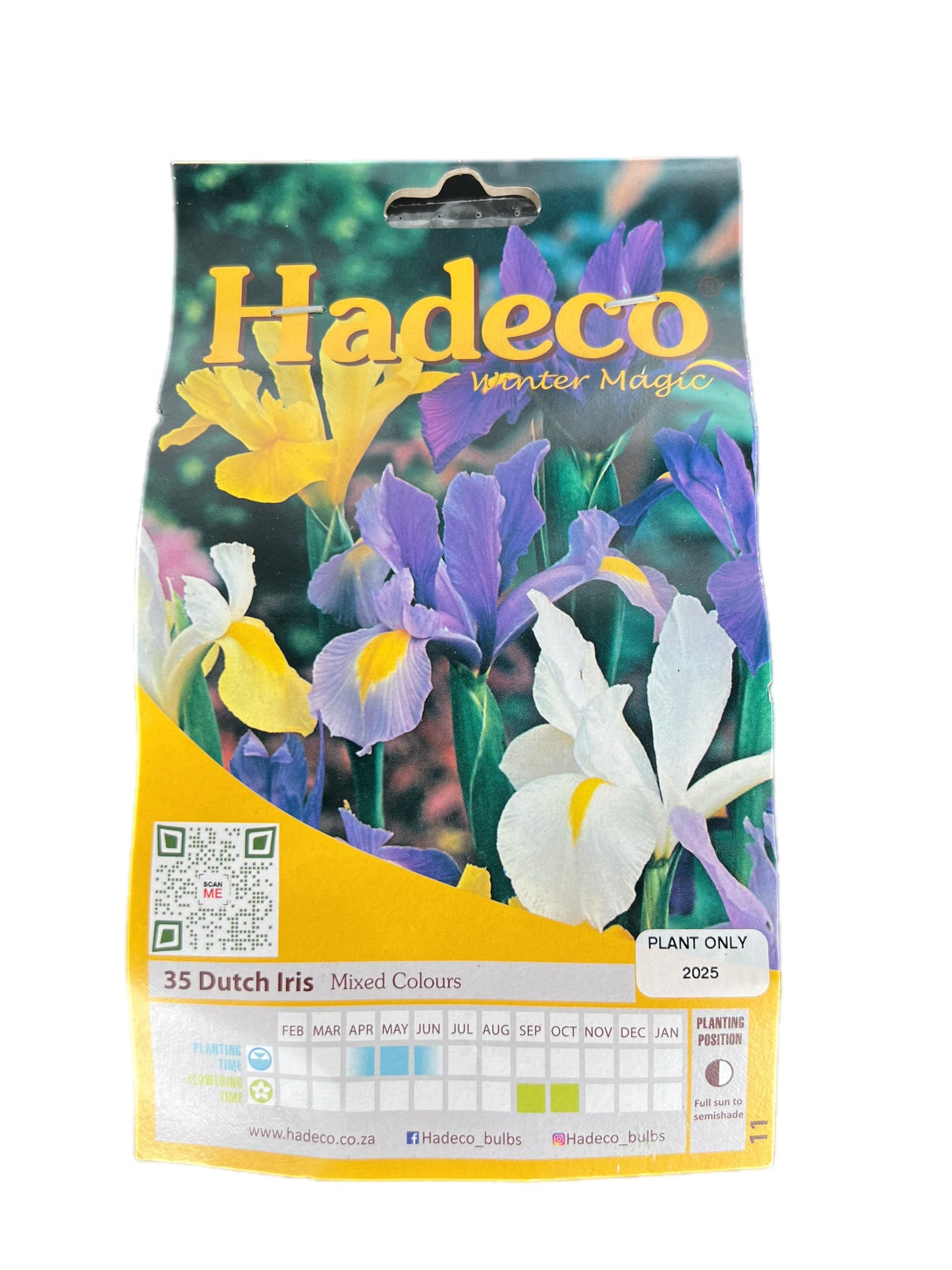 Hadeco Dutch Iris bulb pack with 35 mixed colour bulbs – shows packaging with yellow, white, and purple iris flowers