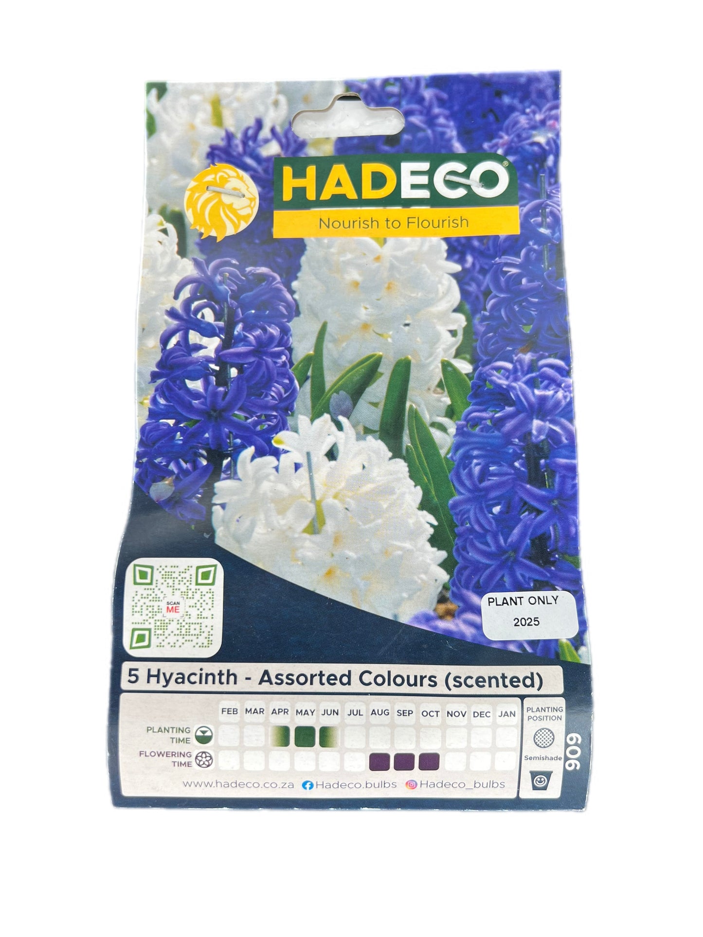 Hadeco Hyacinth bulb pack with 5 assorted colours, scented variety – shows packaging with white and purple flowers